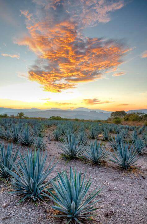Mexican sky
